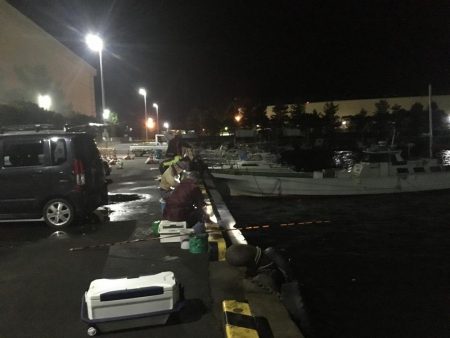 朝のサビキ釣り